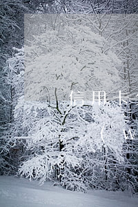 信用卡欠了不到兩萬(wàn)(欠信用卡兩萬(wàn)還不上會(huì)不會(huì)坐牢)