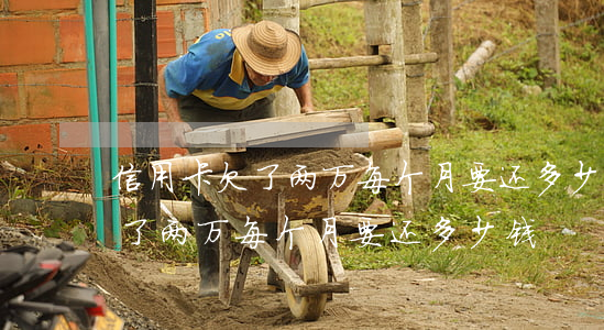 信用卡欠了两万每个月要还多少-信用卡欠了两万每个月要还多少钱