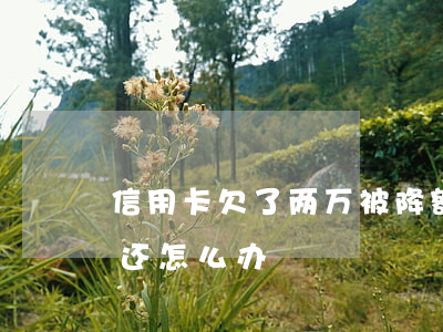 信用卡欠了两万被降额(欠信用卡两万无力偿还怎么办)