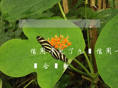 信用卡欠了九萬(信用卡欠了九萬分期還,可以組合貸款)