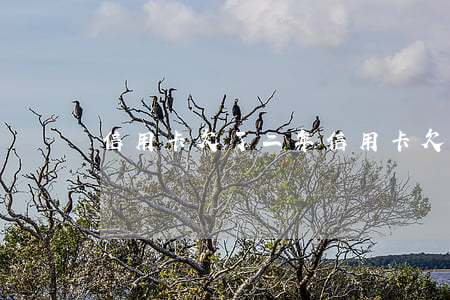 信用卡欠了二年(信用卡欠了二年怎么辦)