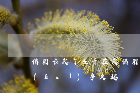 信用卡欠了五千 在(欠信用卡5千多塊一般會(huì)多久起訴)