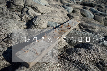 信用卡欠了五千塊錢(信用卡欠了五千塊錢)