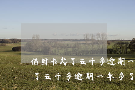 信用卡欠了五千多逾期一年多了-信用卡欠了五千多逾期一年多了怎么办