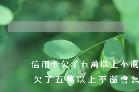 信用卡欠了五萬以上不還會怎么樣-信用卡欠了五萬以上不還會怎么樣嗎