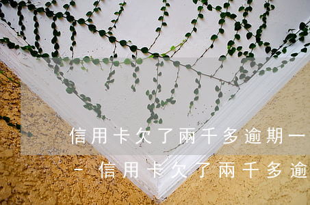 信用卡欠了兩千多逾期一年報(bào)案-信用卡欠了兩千多逾期一年報(bào)案會(huì)怎么樣