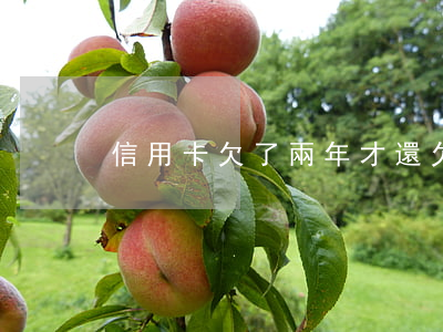 信用卡欠了兩年才還(欠信用卡兩年沒還了)