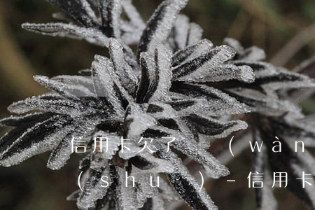 信用卡欠了兩萬(wàn)該不該跟父母說(shuō)-信用卡欠了兩萬(wàn)該不該跟父母說(shuō)一下