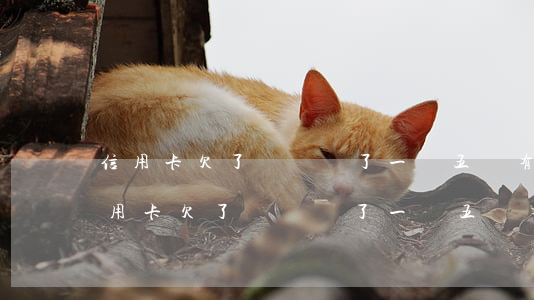 信用卡欠了兩萬還了一萬五會有利息嗎-信用卡欠了兩萬還了一萬五會有利息嗎知乎