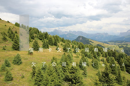 信用卡欠了公司有權(quán)嗎(信用卡欠了公司有權(quán)嗎)
