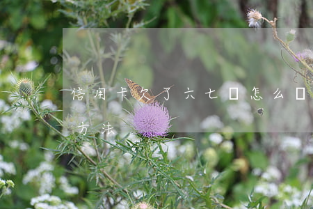 信用卡欠了六七萬怎么辦(欠信用卡6萬自救方法)