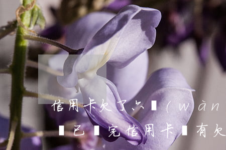 信用卡欠了六萬(wàn)還要還著車貸(車貸已還完信用卡還有欠款)
