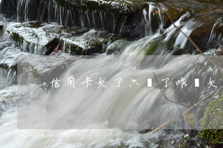 信用卡欠了六萬了咋辦(欠信用卡6萬怎么辦)