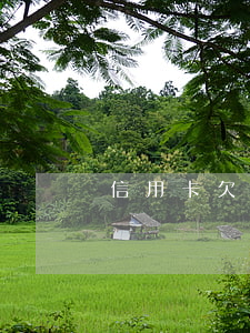 信用卡欠了十多萬怎么才能上岸-