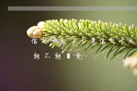 信用卡欠了十年(信用卡欠了十年違約金利息能不能減免)