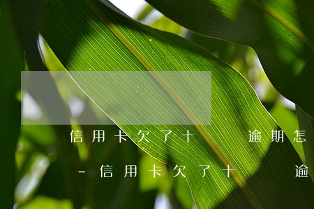 信用卡欠了十幾萬逾期怎么協(xié)商-信用卡欠了十幾萬逾期怎么協(xié)商還款