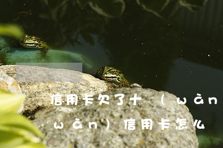 信用卡欠了十萬(wàn)怎么辦(欠十萬(wàn)信用卡怎么還)