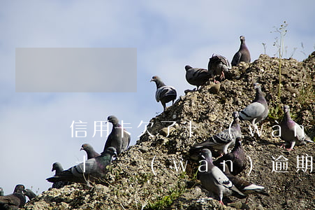 信用卡欠了十萬(wàn)逾期 欠信用卡三十幾萬(wàn)逾期了怎么辦