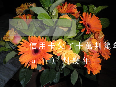 信用卡欠了十萬判幾年(欠信用卡十萬會(huì)判幾年)