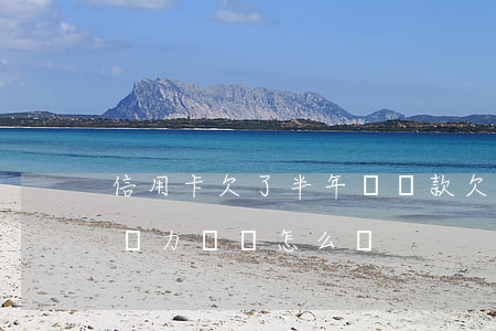 信用卡欠了半年沒還款(欠信用卡半年了無能為力償還怎么辦)