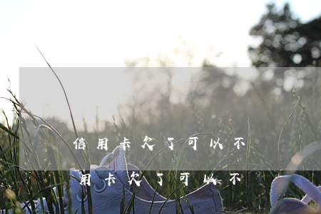 信用卡欠了可以不還嗎現(xiàn)在（信用卡欠了可以不還嗎）