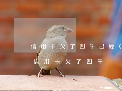 信用卡欠了四千已經(jīng)一年多了（信用卡欠了四千）