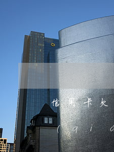 信用卡欠了多少算大額 你信用卡欠了多少錢(qián)