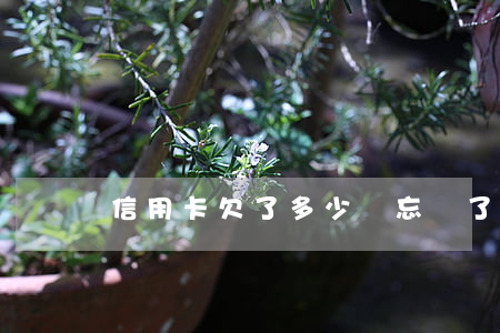 信用卡欠了多少錢忘記了怎么查-