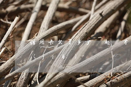 信用卡欠了多少錢起訴才會(huì)凍結(jié)-
