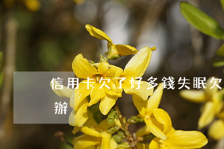 信用卡欠了好多錢失眠(欠信用卡失聯了怎么辦)