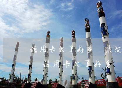 信用卡欠了好多錢法院怎么執(zhí)行-信用卡欠了好多錢法院怎么執(zhí)行呢