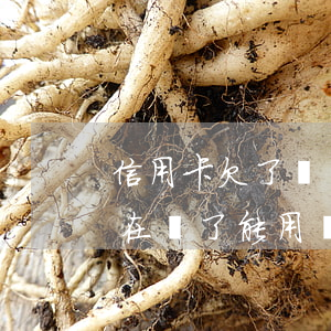 信用卡欠了幾個(gè)月現(xiàn)在還了能用嗎-信用卡欠了幾個(gè)月現(xiàn)在還了能用嗎有影響嗎