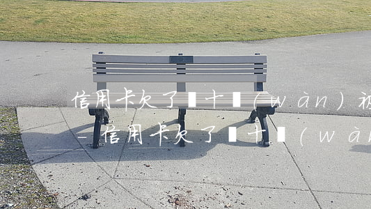 信用卡欠了幾十萬(wàn)被派出所帶走-信用卡欠了幾十萬(wàn)被派出所帶走怎么辦