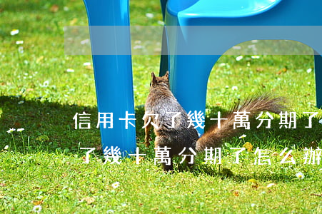 信用卡欠了幾十萬分期了怎么辦-信用卡欠了幾十萬分期了怎么辦理