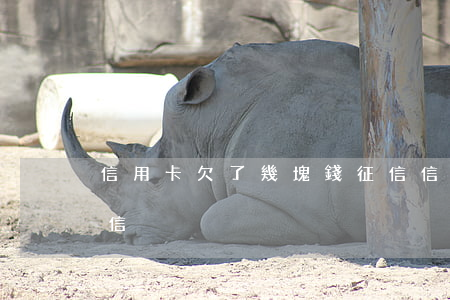 信用卡欠了幾塊錢征信(信用卡欠了幾塊錢征信)