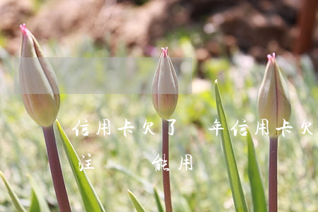 信用卡欠了幾年(信用卡欠了幾年了,減免后,不注銷還能用嗎)