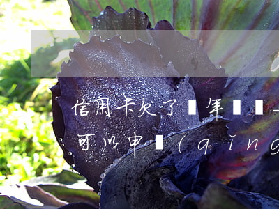 信用卡欠了幾年沒還-信用卡欠幾年沒還,還可以申請(qǐng)其它信用卡嗎