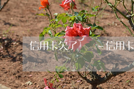 信用卡欠了幾萬-信用卡欠了幾萬還能貸款買車嗎