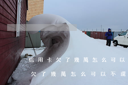 信用卡欠了幾萬怎么可以不還利息-信用卡欠了幾萬怎么可以不還利息呢