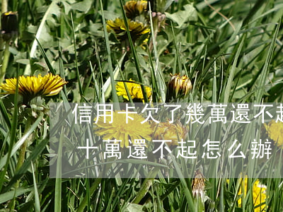 信用卡欠了幾萬還不起了怎么辦(信用卡欠幾十萬還不起怎么辦)
