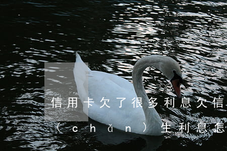 信用卡欠了很多利息(欠信用卡的錢一直在產(chǎn)生利息 怎么處理)