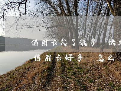 信用卡欠了很多錢快走投無路了怎么辦-欠信用卡好多錢怎么辦