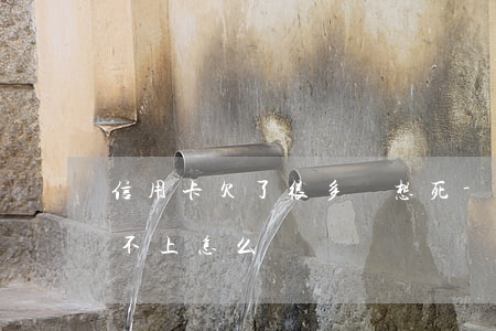 信用卡欠了很多錢想死-欠信用卡很多錢還不上怎么辦