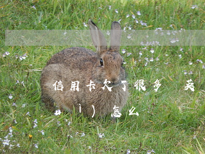 信用卡欠了很多錢英語(欠信用卡的錢會(huì)怎么樣)