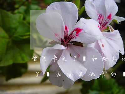 信用卡欠了會扣除其他卡的錢嗎-信用卡欠了會扣除其他卡的錢嗎怎么辦
