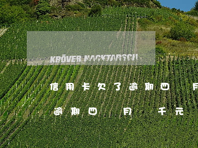信用卡欠了逾期四個月兩千元-信用卡欠了逾期四個月兩千元