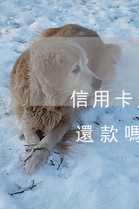 信用卡欠了還能辦車貸嗎(車貸不能用信用卡還款嗎)