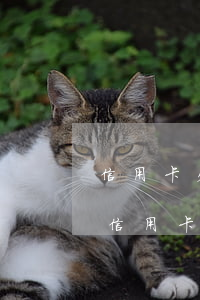 信用卡欠了錢(qián)可以貸到款嗎(欠信用卡可以貸款嗎?)