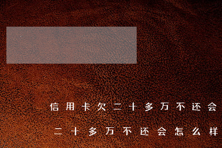 信用卡欠二十多万不还会怎么样-信用卡欠二十多万不还会怎么样吗
