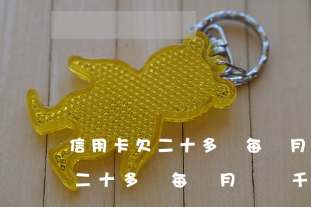 信用卡欠二十多萬每個月還兩千-信用卡欠二十多萬每個月還兩千利息多少